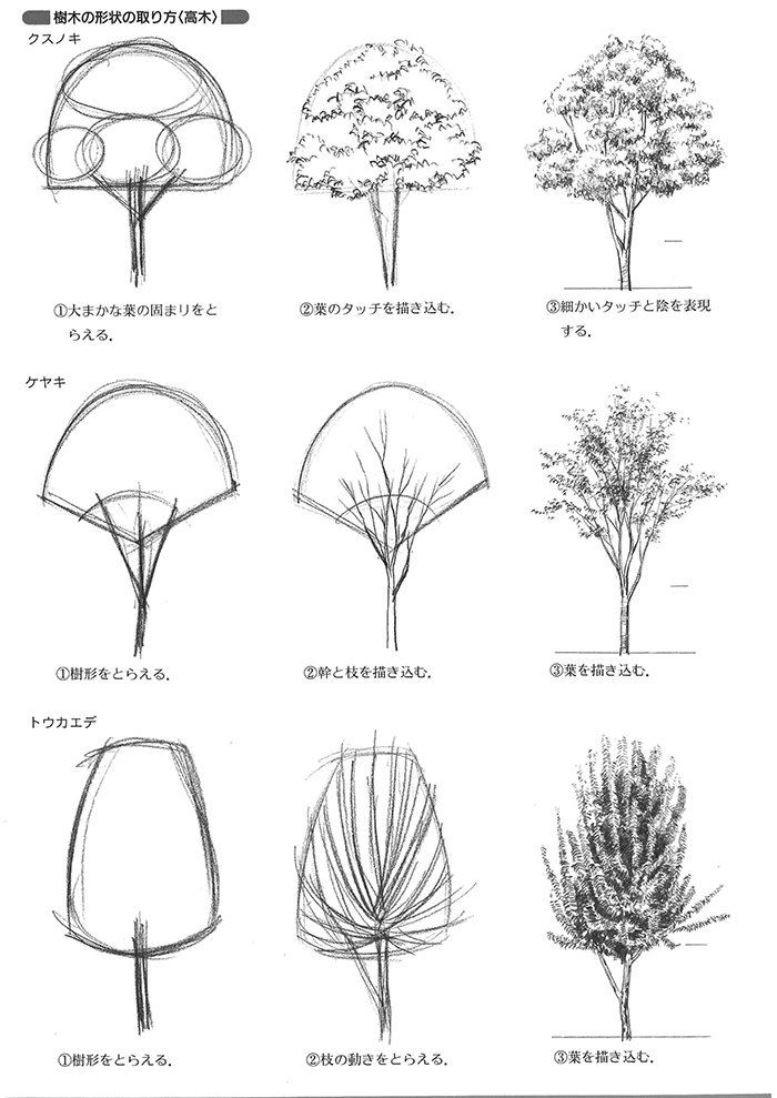 パッと描けたらカッコいい 手描きパーステクニック 樹木編 エクステリアと住まいの Nexell ネクセル