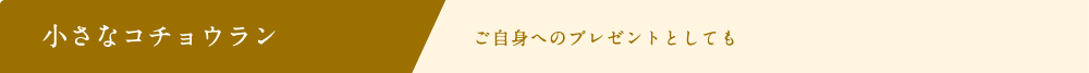 小さなコチョウラン ご自身へのプレゼントとしても