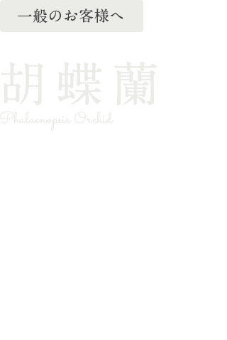 法人のお客様へ 胡蝶蘭 国際園芸博覧会で金賞を受賞した生産者などの農園から直接お届けしているため、最高品質の胡蝶蘭を最高の鮮度でお楽しみいただけます。お届け後早い段階で花が萎れてしまうこともなく、長期間花が持ちまちますので、お祝いのギフトとして自信を持っておすすめできる商品です。