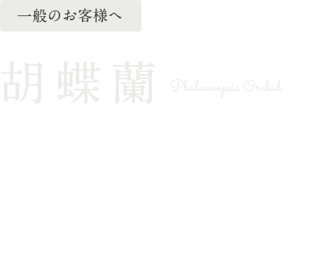 法人のお客様へ 胡蝶蘭 国際園芸博覧会で金賞を受賞した生産者などの農園から直接お届けしているため、最高品質の胡蝶蘭を最高の鮮度でお楽しみいただけます。お届け後早い段階で花が萎えてしまうこともなく、長期間花が持ちますので、お祝いのギフトとして自信を持っておすすめできる商品です。