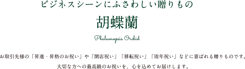 ビジネスシーンにふさわしい贈りもの 胡蝶蘭 Phalaenopsis Orchid お取引先様の「昇進・昇格のお祝い」や「開店祝い」「移転祝い」「周年祝い」などに喜ばれる贈りものです。大切な方への最高級のお祝いを、心を込めてお届けします。